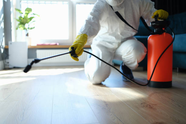 Reliable Odor Removal contractor in Russellville, AR by Trauma Clean Pros